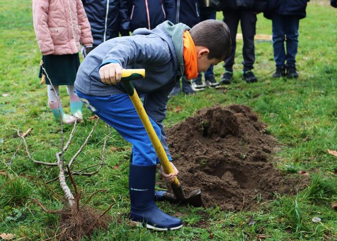 avec-mon-ane-je-pars-planter-mon-pommier