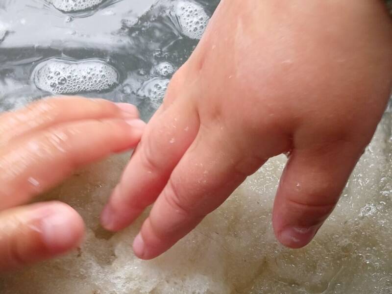 Atelier laine et teinture végétale